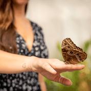 Prestige giftbox package - Happy Anniversary