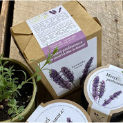 "Thank You, Teacher!" Boxed Garden
