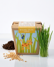 Cat Grass Garden Kit, Mano Verde Junior